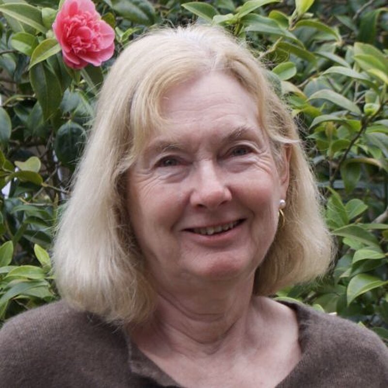 Cllr Pam Hardy